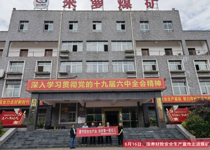 展示图片12