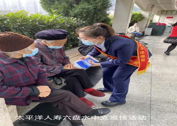 展示图片13
