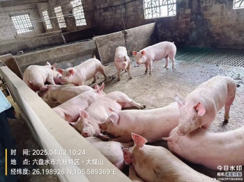 微信图片_20250410145912_副本.jpg