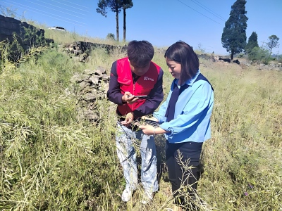 1775005425752023.jpg 2(1).jpg