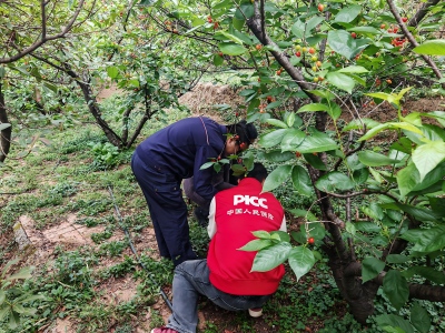 1775632117166533.jpg 2(1).jpg