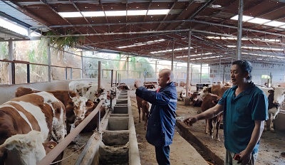 1775637618115355.png 1(1).png